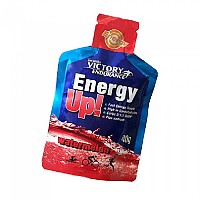 [해외]VICTORY ENDURANCE Energy Up 40g 24 단위 수박 에너지 젤 상자 4136514102 Watermelon