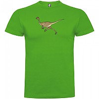 [해외]KRUSKIS Dino Run 반팔 티셔츠 6137623058 Green