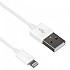 [해외]MYWAY USB 케이블 연결 라이트ning 2.1A 1M 14137550958 White