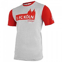 [해외]울스포츠 FC K?ln 3.0 T-Shirt 3137867231 Grey Melange / Red