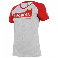 [해외]울스포츠 FC K?ln 3.0 T-Shirt 3137867235 Grey Melange / Red