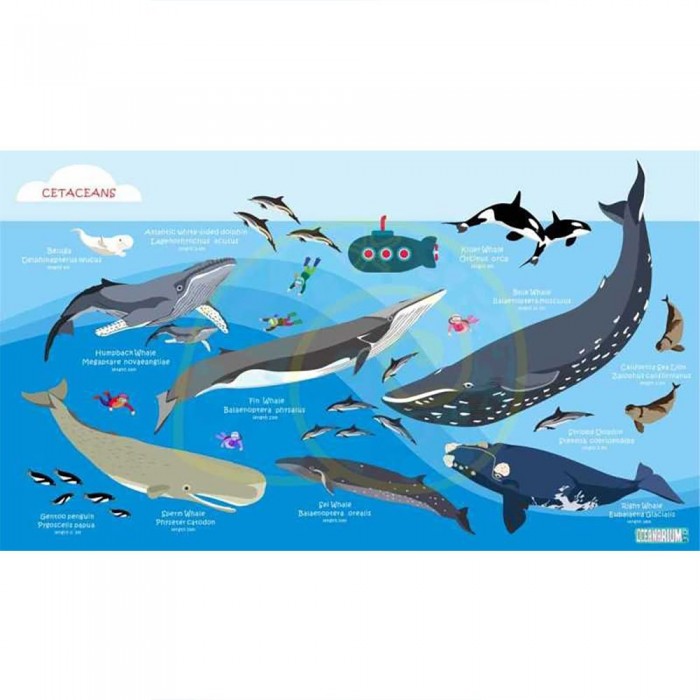 [해외]오셔나리움 수건 Cetaceans L 3137681028 Blue / Multicolor