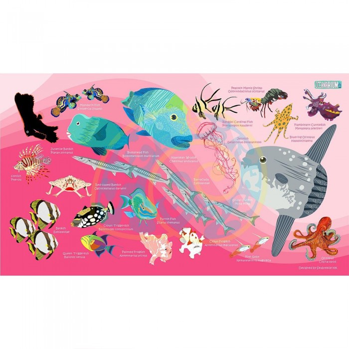 [해외]오셔나리움 수건 Sunfish L 3137681035 Pink / Multicolor