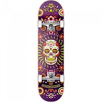 [해외]HYDROPONIC 스케이트보드 Mexican Co 8.125´´ 14138299688 Purple Skull