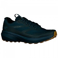 [해외]아크테릭스 Norvan LD 3 Trail Running Shoes 4138418776 Labyrinth / Relic