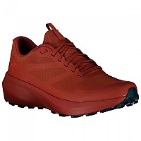 [해외]아크테릭스 Norvan LD 3 Trail Running Shoes 4138418777 Pompeii / Labyrinth
