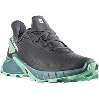 [해외]살로몬 Alphacross 4 Goretex Trail Running Shoes 4138945393 Ebony / Trellis / Yucca