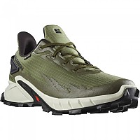 [해외]살로몬 Alphacross 4 Goretex Trail Running Shoes 4138945391 Deep Lichen Green / Vanilla Ice / Olive Night