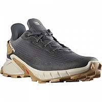 [해외]살로몬 Alphacross 4 Trail Running Shoes 4138945398 Ebony / Rainy Day / Phantom