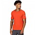 [해외]레가타 Ambulo 반팔 티셔츠 4139727690 Rusty Orange