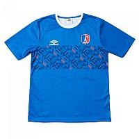 [해외]엄브로 프랑스 반팔 티셔츠 Chest Panel World Cup 2022 3139120271 Regal Blue