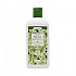 [해외]DRASANVI Olive Oil Shampoo 250ml 138929773 Multicolour