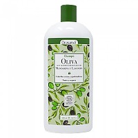 [해외]DRASANVI Olive Oil Shampoo 500ml 138929774 Multicolour