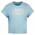 [해외]리바이스 Plus Graphic Authentic 반팔 티셔츠 139882164 Pl 501 California Angel Falls
