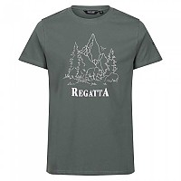 [해외]레가타 Cline VII 반팔 티셔츠 4140142862 Dark First Mountain