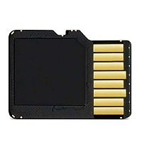 [해외]가민 칼집 16 GB MicroSD Class 10 Card With SD Adapter 4137533467 Black