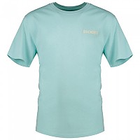 [해외]디키즈 Hays 반팔 티셔츠 140049797 Pastel Turquoise