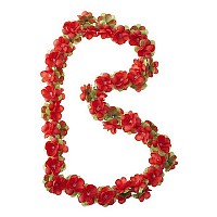 [해외]BASIL 꽃 제를란드 로프 130 cm 1140385215 Red / Green