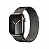 [해외]APPLE Series 9 GPS+Cellular 41 mm watch 7140371239 Graphite / Steel Milanese