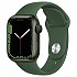 [해외]APPLE Series 7 GPS+Cellular 41 mm watch 6138413027 Green Clover
