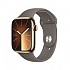 [해외]APPLE Series 9 GPS+Cellular 45 mm watch 6140371243 Gold Steel Clay
