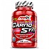 [해외]AMIX Carnosyn 100 단위 중립적 맛 7137520398 Red