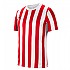 [해외]나이키 Dri Fit Division 4 Striped 반팔 티셔츠 3140109174 White / University Red / Black