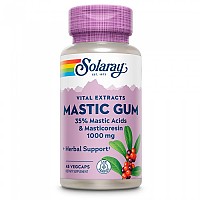 [해외]SOLARAY Mastic Gum 500mgr 45 단위 12138063630 Pink