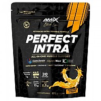 [해외]AMIX 탄수화물 망고&파인애플 Perfect Intra 870gr 12140602667