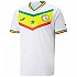 [해외]푸마 반소매 티셔츠 홈 리퍼브 상품 Senegal 22/23 15140890211 Puma White / Pepper Green