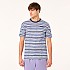 [해외]오클리 APPAREL Blurrred Stripes 반팔 티셔츠 140222984 Blurred Stripe Mc