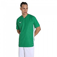 [해외]푸마 반소매 티셔츠 팀 Cup 3140978954 Green