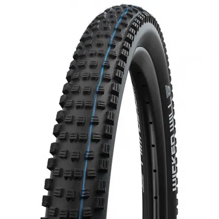 SCHWALBE Wicked Will EVO Super Ground 튜블리스 29in x 2.40 단단한 MTB 타이어 3138231911