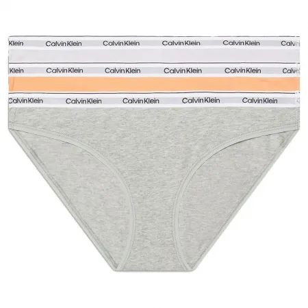 캘빈클라인 000QD5207E 팬티 3 팩 140609040