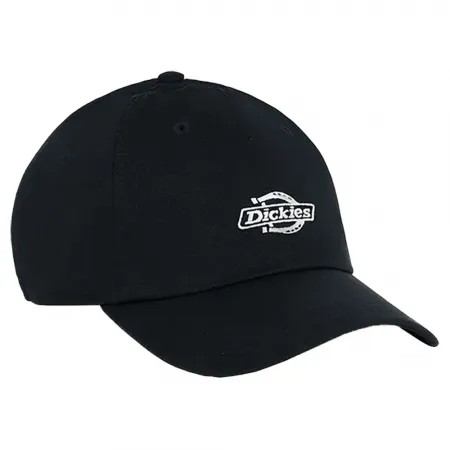디키즈 Essential Dad 모자 141657294