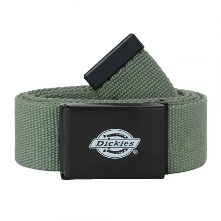 디키즈 Orcutt 벨트 142181458