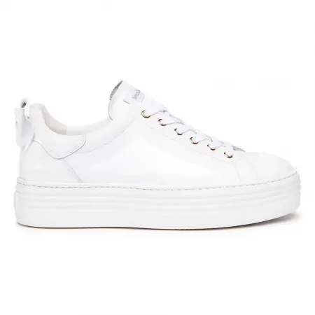 네로지아르디니 E306521D 운동화 142931050