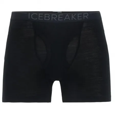 ICEBREAKER 175 Everydays 메리노 복서 브리프 2136880094