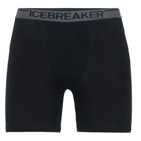 ICEBREAKER Anatomica 메리노 복서 브리프 2137245504