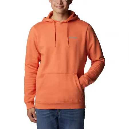 컬럼비아 CSC 그래픽 Hoodie 후드티 2139565380