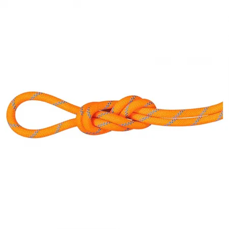 마무트 Alpine Sender Dry 8.7 mm 로프 2141857549