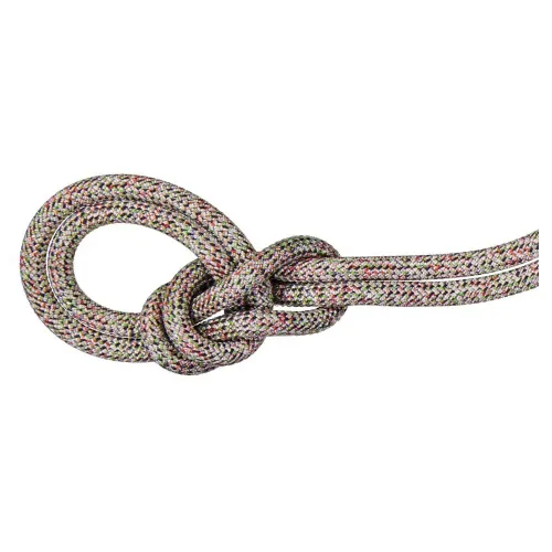 마무트 Crag We Care Classic 9.5 mm 로프 2141857573