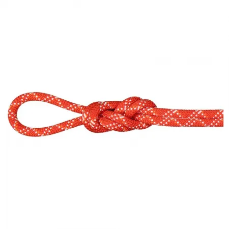 마무트 Gym Classic 9.5 mm 로프 2141857587