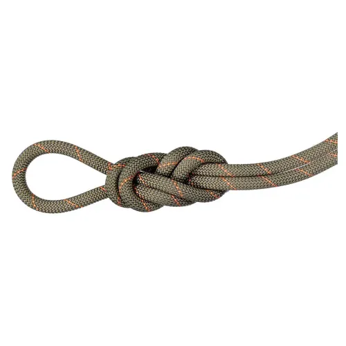 마무트 Gym Workhorse Classic 9.9 mm 로프 2141857588