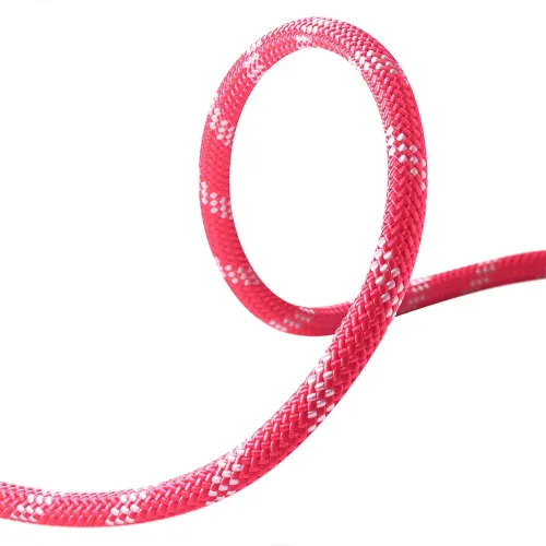 에델리드 퍼포먼스 Static 11 mm 로프 2141920720