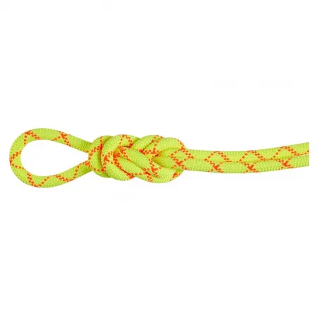 마무트 Alpine Core Protect 9.5 mm 로프 2141920787