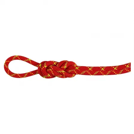마무트 Alpine Core Protect Dry 8 mm 로프 2141920792