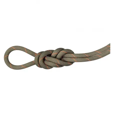 마무트 Gym Workhorse Classic 9.9 mm 로프 2141920875