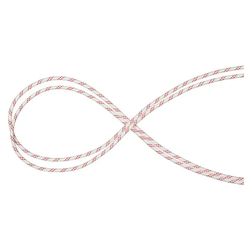 마무트 퍼포먼스 Static 10 mm 로프 2141920877