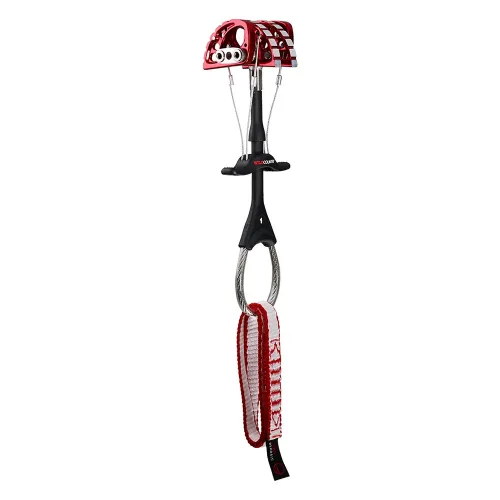 와일드컨츄리 1 Friend 2142353820